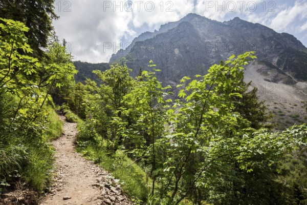 Hiking trail from GaiÃŸalpe to Unterer GaiÃŸalpsee, behind Rubihorn, near Oberstdorf, OberallgÃ¤u, AllgÃ¤u Alps, AllgÃ¤u, Bavaria, Germany