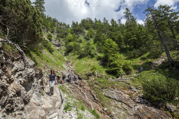 Hiking trail from the GaiÃŸalpe to Unterer GaiÃŸalpsee, at the back of the Illertal, near Oberstdorf, OberallgÃ¤u, AllgÃ¤u Alps, AllgÃ¤u, Bavaria, Germany