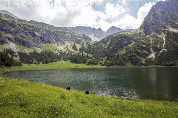 Unterer GaiÃŸalpsee, near Oberstdorf, OberallgÃ¤u, AllgÃ¤u Alps, AllgÃ¤u, Bavaria, Germany