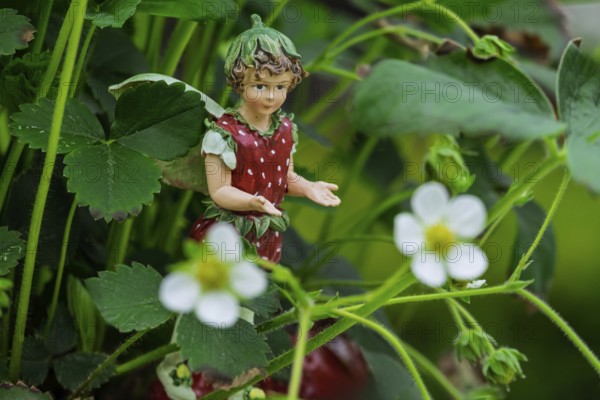 A decorative figure in the shape of a strawberry man surrounded by green leaves and white flowers