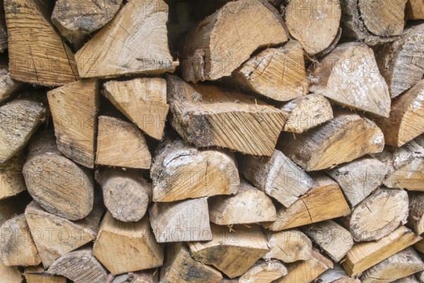 Neatly stacked firewood, MÃ¼nsterland, North Rhine-Westphalia, Germany