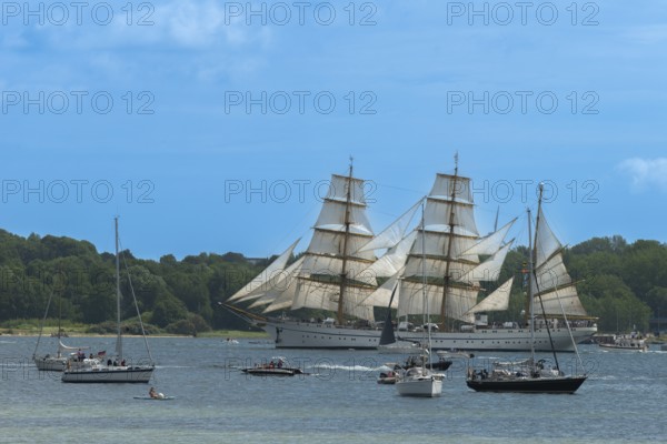 Windjammer parade 2025 on the Kiel Fjord at the end of Kiel Week, tall ships, three-master, sail training ship Gorch Fock, spectators, summer weather, sunshine, forest, Kiel, Schleswig-Holstein, Germany