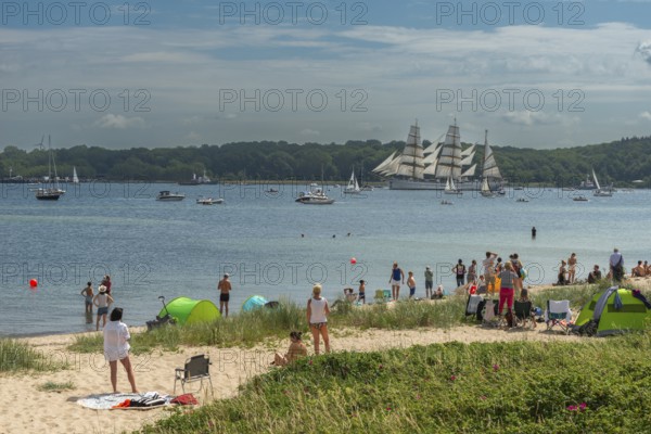 Windjammer parade 2025 on the Kiel Fjord at the end of Kiel Week, tall ships, three-master, sail training ship Gorch Fock, spectators, Falkenstein beach life, summer weather, sunshine, forest, Kiel, Schleswig-Holstein, Germany