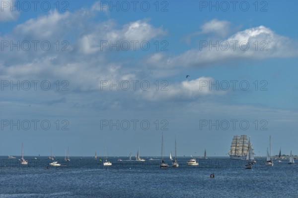 Windjammer Parade 2025 on the Kiel Fjord at the end of Kiel Week, tall ships, three-master, sail training ship Gorch Fock, boats, summer weather, sunshine, forest, Kiel, Schleswig-Holstein, Germany