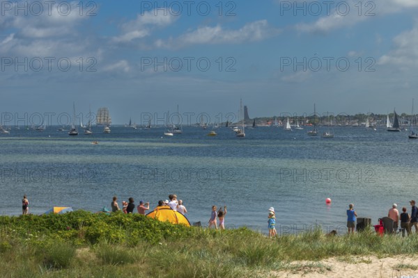 Windjammer parade 2025 on the Kiel Fjord at the end of Kiel Week, tall ships, three-master, sail training ship Gorch Fock, Laboe marina, naval memorial, spectators, Falkenstein beach life, lighthouse, summer weather, sunshine, forest, Kiel, Schleswig-Holstein, Germany