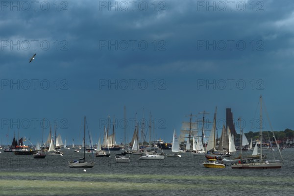 Windjammer Parade 2025 on the Kiel Fjord at the end of Kiel Week, tall ships, three-masters, motorboats, naval memorial in Laboe, summer weather, sunshine, forest, Kiel, Schleswig-Holstein, Germany
