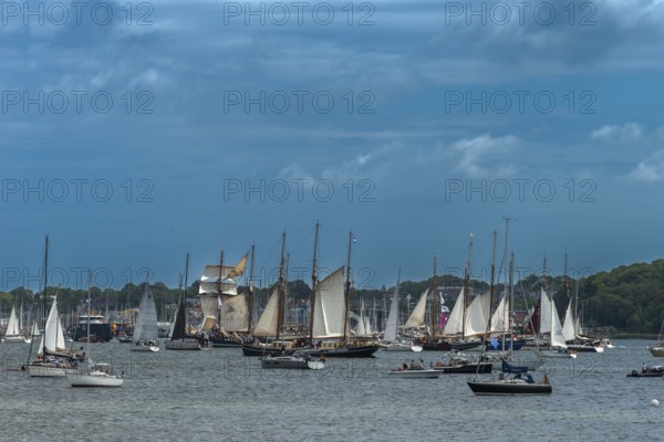 Windjammer Parade 2025 on the Kiel Fjord at the end of Kiel Week, tall ships, three-masters, motorboats, spectators, summer weather, sunshine, forest, Kiel, Schleswig-Holstein, Germany
