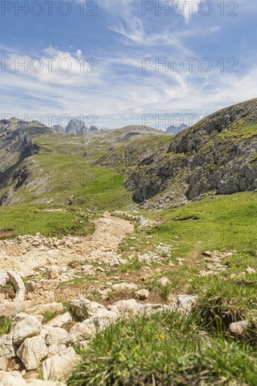 Stony path through green meadows, surrounded by mountains, under a blue sky with clouds, Schlehrn hike, Alpe di Siusi, Dolomites, South Tyrol, Italy