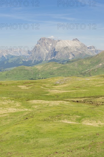 Wide green meadow landscape with mountains in the background under a clear sky, Schlehrn hike, Alpe di Siusi, Dolomites, South Tyrol, Italy