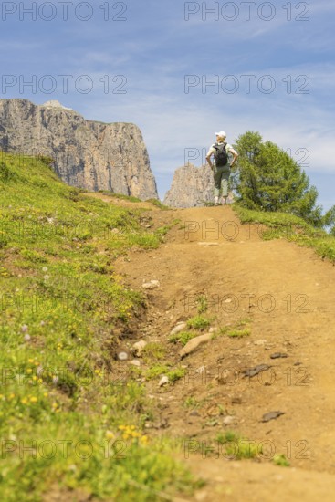 A hiker walks along a sunny nature trail, surrounded by mountainous landscape, Schlehrn hike, Alpe di Siusi, Dolomites, South Tyrol, Italy