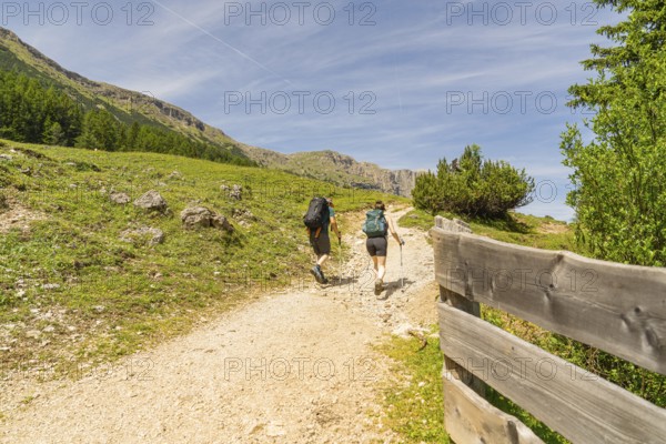 Two hikers walk along a sunny mountain path, flanked by a wooden barrier, Schlehrn hike, Alpe di Siusi, Dolomites, South Tyrol, Italy
