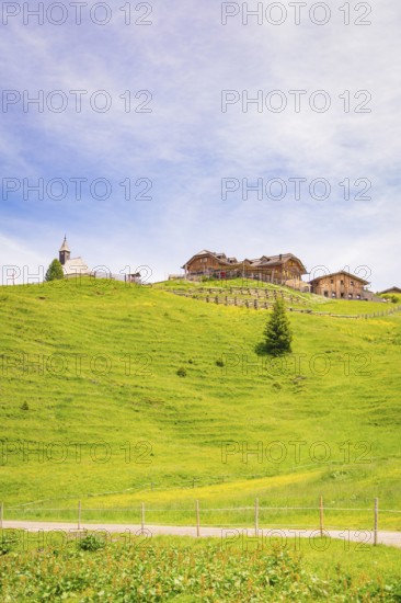 Houses on a green meadow with blue sky in the background, idyllic landscape, hike to the Schlehrn, Alpe di Siusi, Dolomites, South Tyrol, Italy
