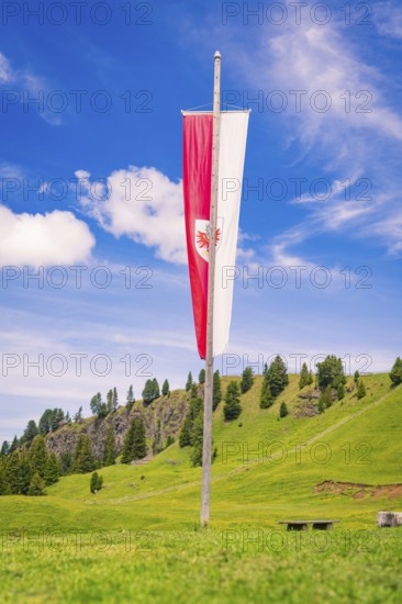 Red and white flag on a mountain meadow under a blue sky, hike to the Schlehrn, Alpe di Siusi, Dolomites, South Tyrol, Italy