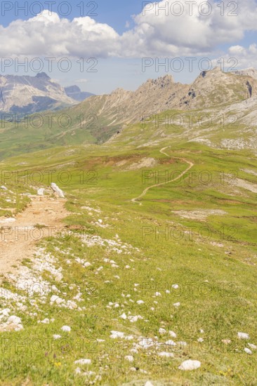 Extensive mountain landscape with winding hiking trail and clouds, hike to the Schlehrn, Alpe di Siusi, Dolomites, South Tyrol, Italy