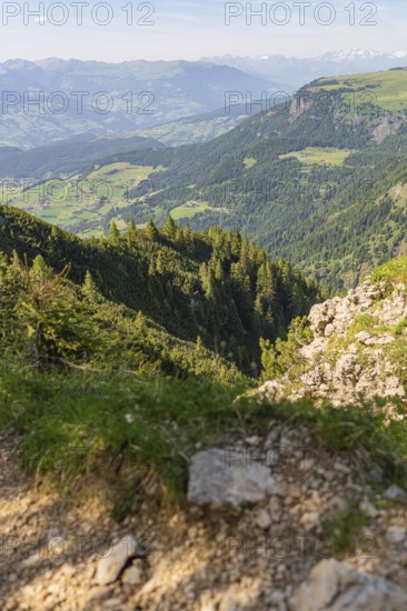 View of a wide wooded valley with mountains in the background, hike to the Schlehrn, Alpe di Siusi, Dolomites, South Tyrol, Italy