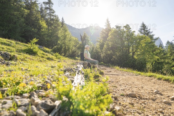Person sitting on path in forest, surrounded by flora, in soft morning light, hike to Schlehrn, Alpe di Siusi, Dolomites, South Tyrol, Italy