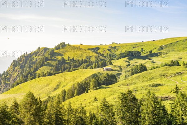 Panorama of rolling, wooded hills with a house in the distance, hike to the Schlehrn, Alpe di Siusi, Dolomites, South Tyrol, Italy