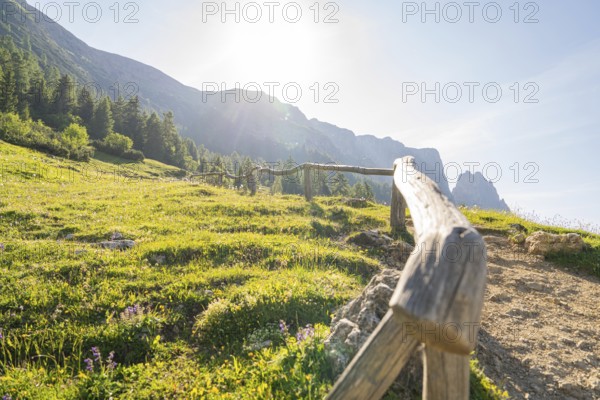 Sun-drenched path with wooden fence and view of the mountains, hike to the Schlehrn, Alpe di Siusi, Dolomites, South Tyrol, Italy