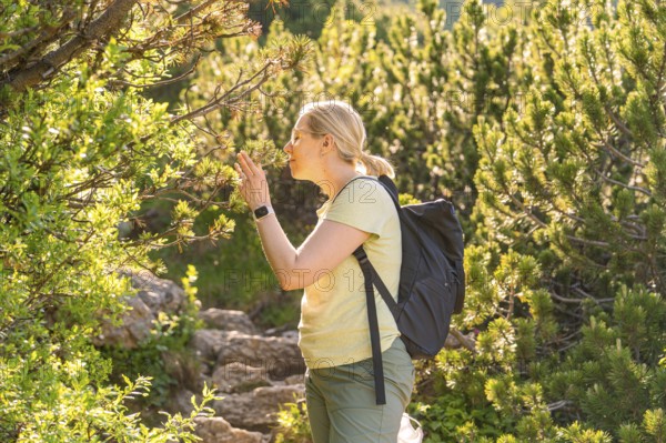 Woman enjoying nature while smelling a twig, hike to the Schlehrn, Alpe di Siusi, Dolomites, South Tyrol, Italy