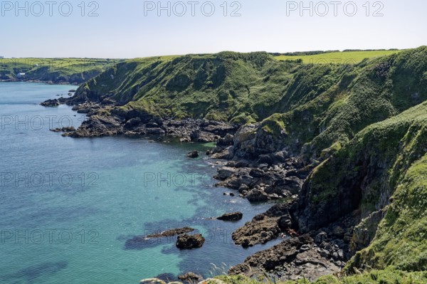 Rocky coast and landscape on the south-east coast near the southern tip of Cornwall on the English Channel. Cadgwith, Cornwall, South West England, Great Britain