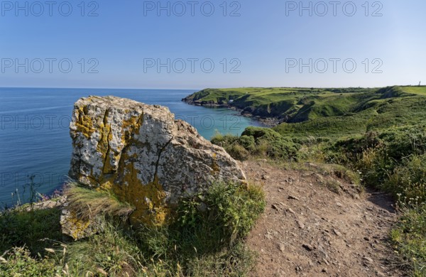 The South-West Coast Path in the south-west of England, a long-distance footpath near the southern tip of Cornwall on the English Channel. Cadgwith, Cornwall, South-West England, Great Britain