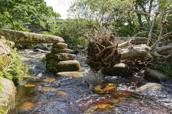 Remains of an old stone bridge and the new bridge on the East Dart River in Dartmoor National Park. Dartmeet, Devon, South England, Great Britain