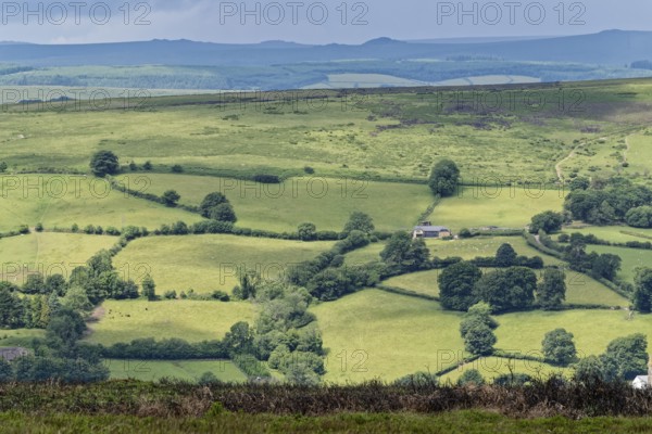 Fields and meadows around the village of Widecombe-in-the-Moor in Dartmoor National Park. Bovey Tracey, Devon, South England, Great Britain