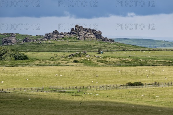 The Hound Tor rocks at Widecombe-in-the-Moor in Dartmoor National Park. Bovey Tracey, Devon, South England, Great Britain