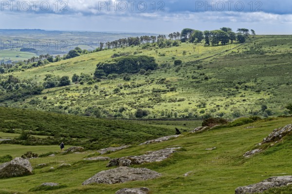 Landscape around the Haytor Rocks in Dartmoor National Park. Bovey Tracey, Devon, South England, Great Britain