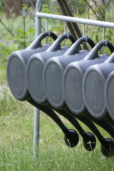 Watering cans, summer, Germany