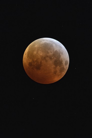 Blood moon (lunar eclipse), red-orange moon on 21 January 2019, 04:10 a.m., entry of the supermoon into the Earth's umbra, full moon, supermoon, strawberry moon, local nature, Meerbusch, DÃ¼sseldorf, Rhineland, Lower Rhine, North Rhine-Westphalia, Germany, Western Europe