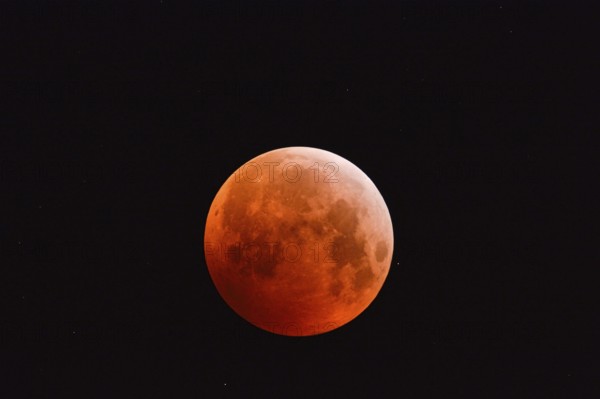 The 21.01.2019... Core shadow lunar eclipse... Blood moon (super moon, lunar eclipse), brightly shining, very large, red-orange moon, full moon in the night sky with stars, super telephoto, strawberry moon, local nature, Meerbusch, DÃ¼sseldorf, Rhineland, Lower Rhine, North Rhine-Westphalia, Germany, Western Europe