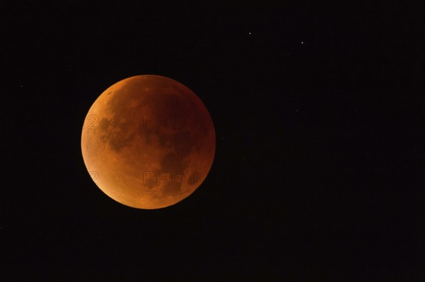 At 4:47 in the morning... Blood moon (total lunar eclipse) over North Rhine-Westphalia on 28 September 2015, full moon, supermoon, strawberry moon, local nature, Meerbusch, DÃ¼sseldorf, Rhineland, Lower Rhine, North Rhine-Westphalia, Germany, Western Europe