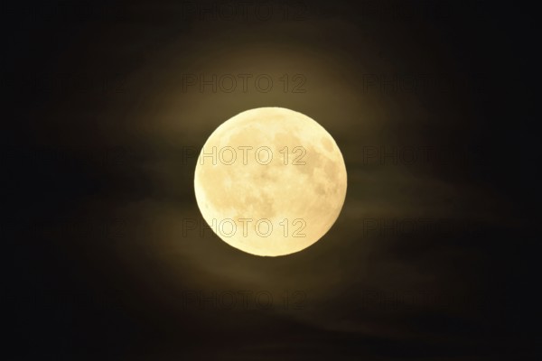 Round, full moon, bright shining full moon in starry night with a small aura caused by thin clouds, haze layer reflecting the light of the moon, night-black sky, local nature, Meerbusch, DÃ¼sseldorf, Rhineland, Lower Rhine, North Rhine-Westphalia, Germany, Western Europe