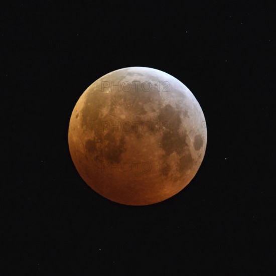 Blood moon (lunar eclipse), red-orange moon on 21 January 2019, 04:10 a.m., entry of the supermoon into the Earth's umbra, full moon, supermoon, strawberry moon, local nature, Meerbusch, DÃ¼sseldorf, Rhineland, Lower Rhine, North Rhine-Westphalia, Germany, Western Europe