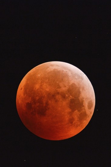 The 21.01.2019... Core shadow lunar eclipse... Blood moon (super moon, lunar eclipse), brightly shining, very large, red-orange moon, full moon in the night sky with stars, super telephoto, strawberry moon, local nature, Meerbusch, DÃ¼sseldorf, Rhineland, Lower Rhine, North Rhine-Westphalia, Germany, Western Europe