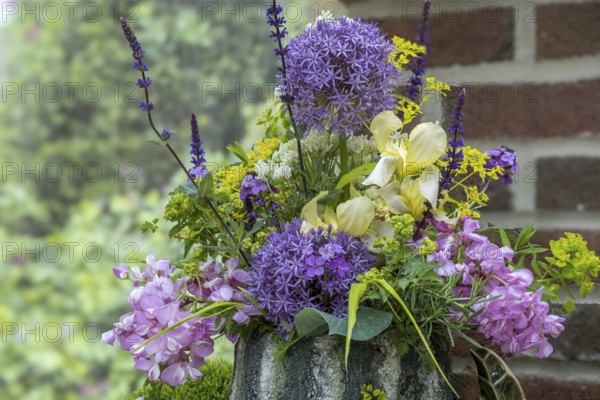 Bouquet with allium, iris and robinia, North Rhine-Westphalia, Germany