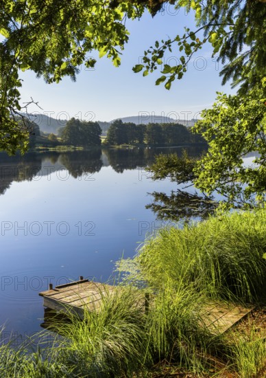 A jetty at Blaibacher See. Blaibach, district of Cham, Upper Palatinate, Bavarian Forest, Bavaria, Germany