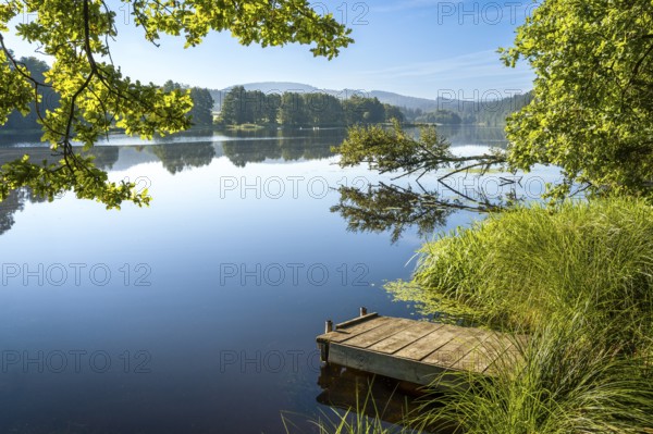 A jetty at Blaibacher See. Blaibach, district of Cham, Upper Palatinate, Bavarian Forest, Bavaria, Germany