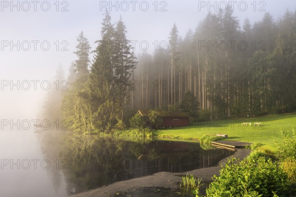 Lake Blaibach on a misty morning with sunshine. Blaibach, district of Cham, Upper Palatinate, Bavarian Forest, Bavaria, Germany