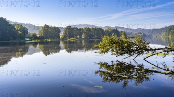 Lake Blaibach in summer. Blaibach, district of Cham, Upper Palatinate, Bavarian Forest, Bavaria, Germany