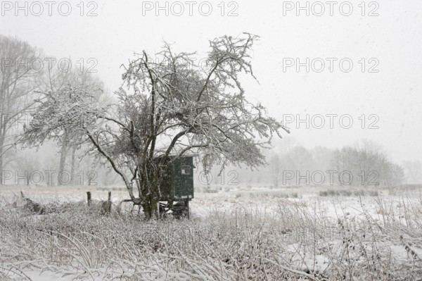 In the StrÃ¼mper Bruch... Meerbusch (North Rhine-Westphalia), mobile hunting hide, high seat in a nature reserve on the Lower Rhine, surprising onset of winter with heavy snowfall for a region that is actually favoured by warmth, local nature, landscapes in the snow, rare weather conditions in the Rhineland, Lower Rhine, Meerbusch, North Rhine-Westphalia, Germany, Western Europe