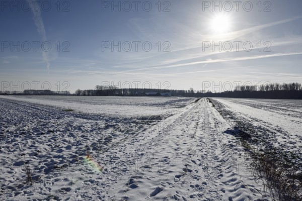 Glistening light... Meerbusch (North Rhine-Westphalia), rural cultural landscape on the Lower Rhine in winter with blue sky and sunshine, local nature, landscapes in the snow, rare weather conditions in the Rhineland, Lower Rhine, Meerbusch, North Rhine-Westphalia, Germany, Western Europe