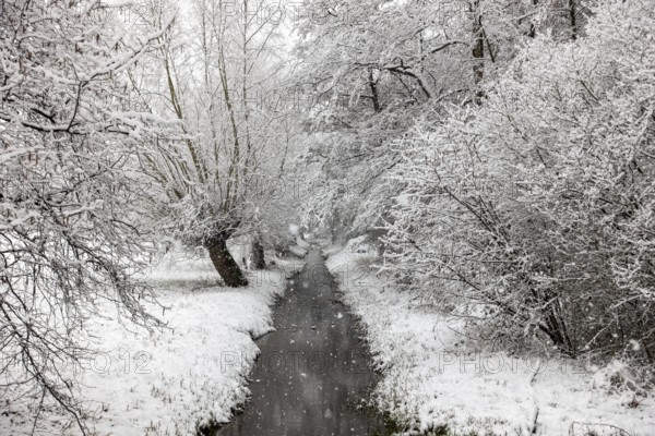 Stream, old drainage ditch in the Rhine floodplains near Meerbusch in winter with snow, Ilvericher Altrheinschlinge with snowfall, local nature, landscapes in the snow, rare weather conditions in the Rhineland, Lower Rhine, Meerbusch, North Rhine-Westphalia, Germany, Western Europe