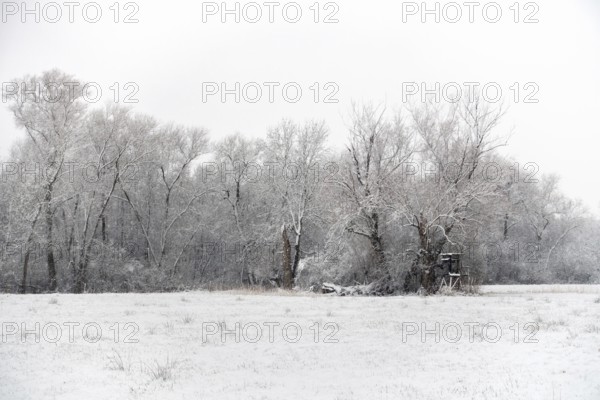 Winter walk through a rural cultural landscape in the snow on the Lower Rhine, on the left bank of the Rhine between DÃ¼sseldorf and Meerbusch, Ilvericher Altrheinschlinge, landscapes in the snow, rare weather conditions in the Rhineland, Lower Rhine, Meerbusch, North Rhine-Westphalia, Germany, Western Europe
