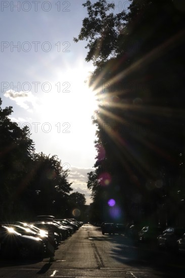 Summer heat and parked cars, Germany