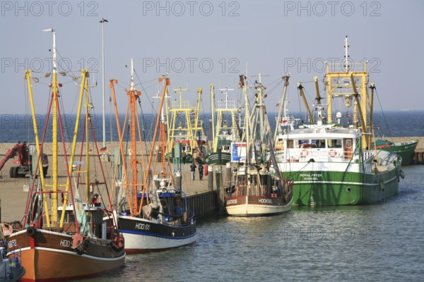 Row of fishing boats, outer harbour, Hooksiel, Wangerland, Germany