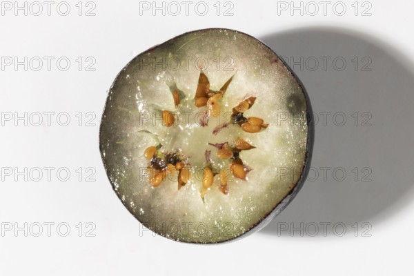 Sliced blueberry with visible seeds and light-coloured flesh, macro image