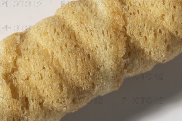 Macro shot, part of a hollow hip