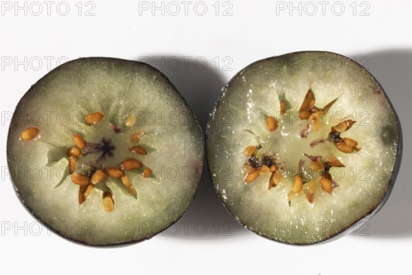 Two halves of a sliced blueberry with seeds, macro shot